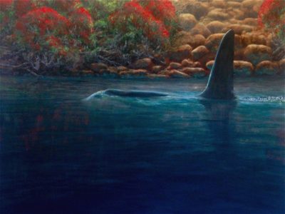 Pohutukawa Orca, Acrylic, on canvas mount, 76 x 101 cm / 30 x 40 inches
